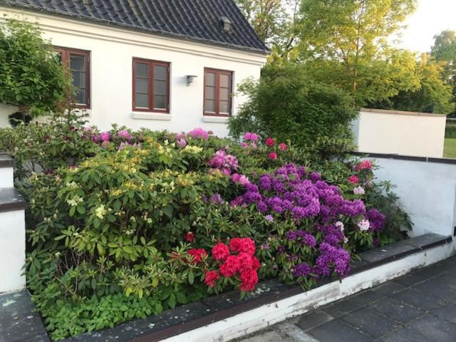 Dreamcenter Ballerup Boulevard Dış mekan fotoğraf